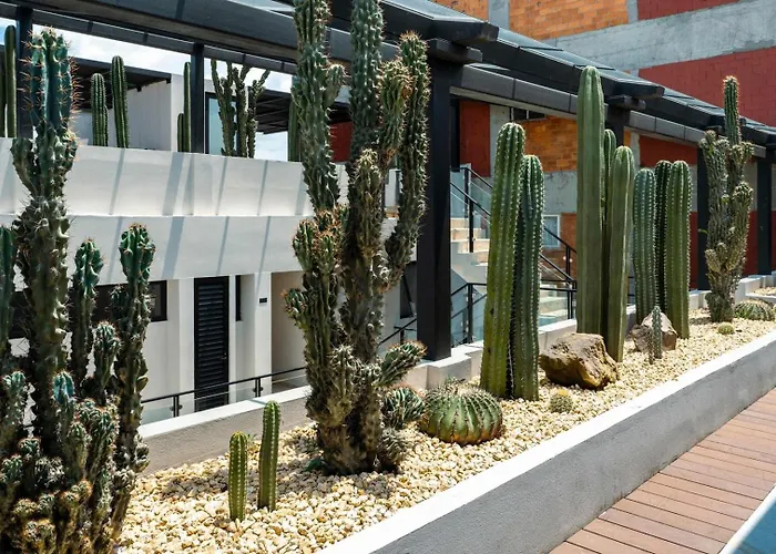 Apartment Stylish Loft W Balcony In The Heart Of Roma Norte *